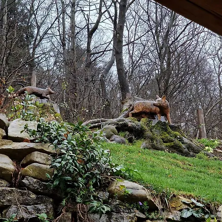 Narciso * Adrara San Rocco